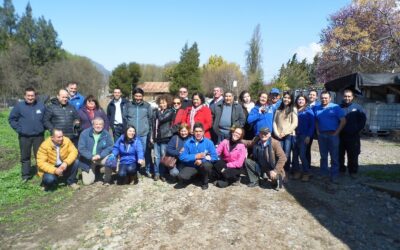 Actividades 2015