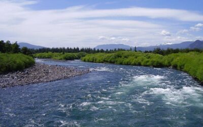 Celebramos las organizaciones comunitarias en el Día Mundial del Agua